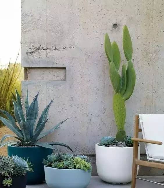 水泥墻樸素寂靜的美，庭院設(shè)計(jì)