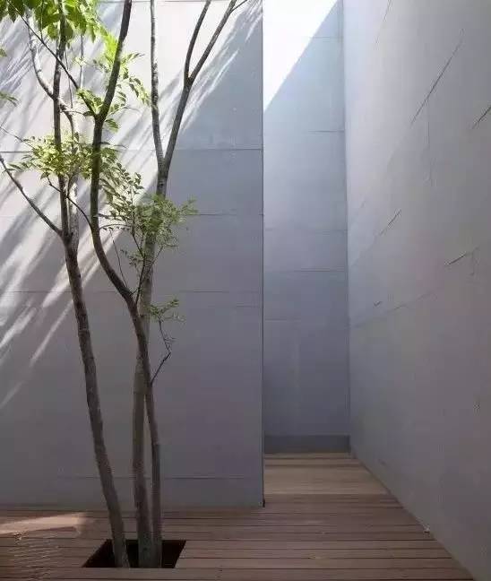 水泥墻樸素寂靜的美，庭院設(shè)計(jì)
