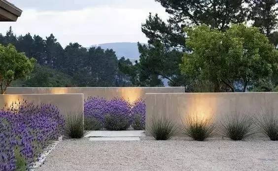 水泥墻樸素寂靜的美，庭院設(shè)計