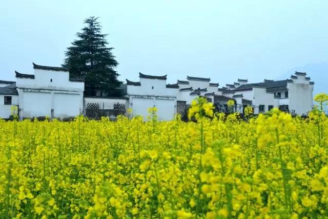 中國建筑六大派之一，皖派建筑