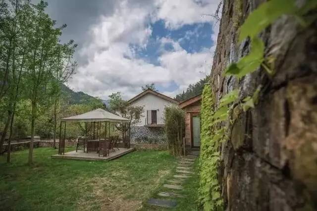 一山九舍 ， 游弋翠竹山林之中