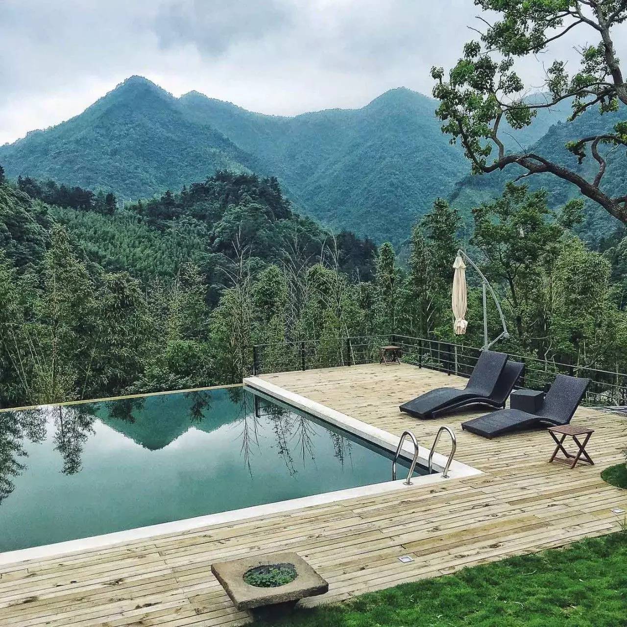 一山九舍 ， 游弋翠竹山林之中