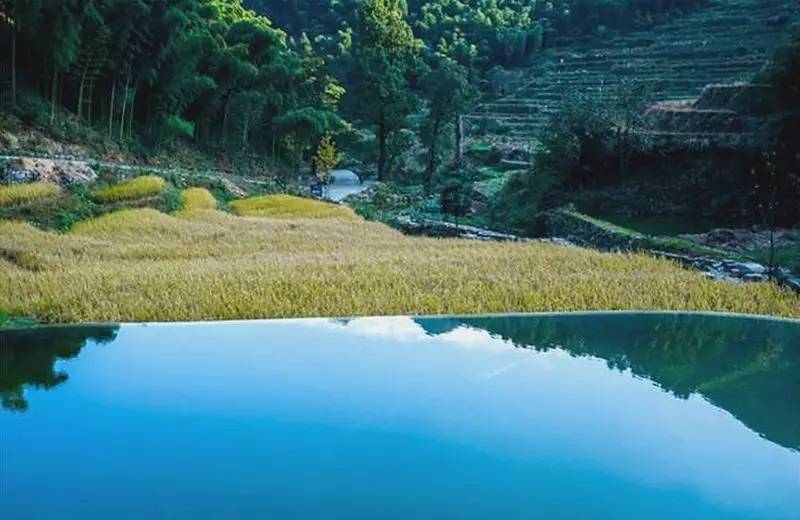 秘境民宿，倒影空寂山谷的一輪明鏡