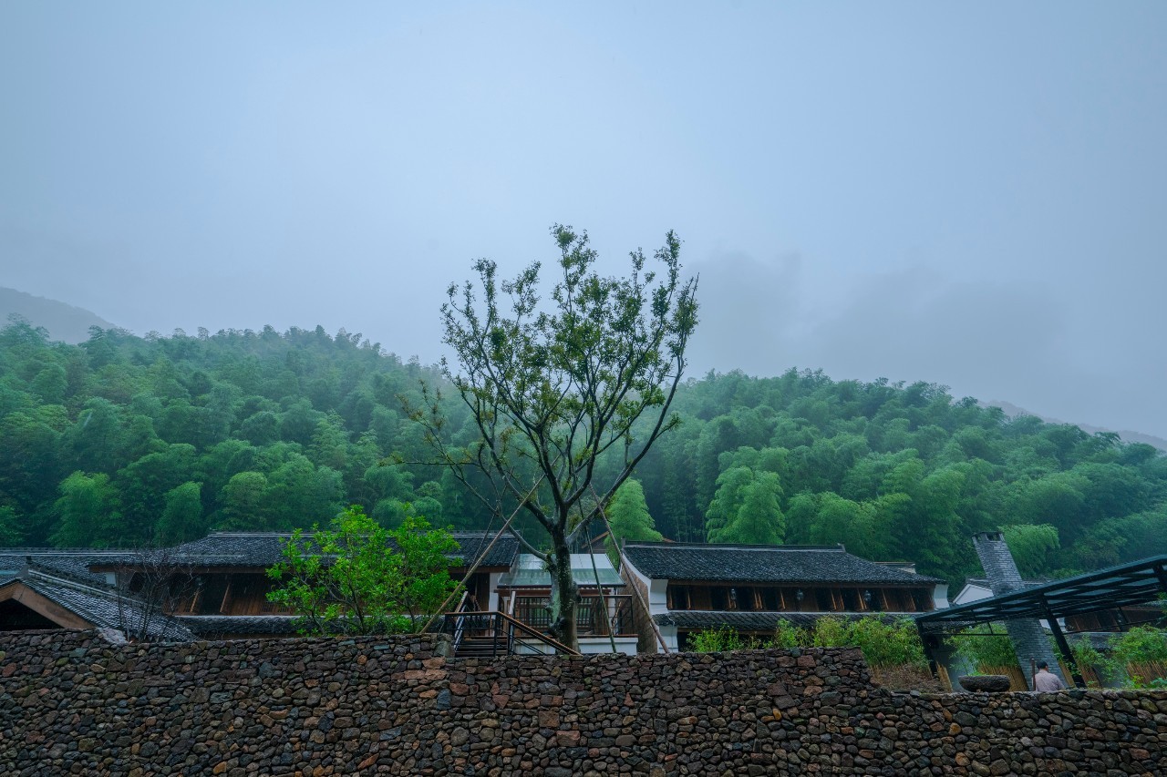 龍觀禪那，靈魂安放之處的民宿