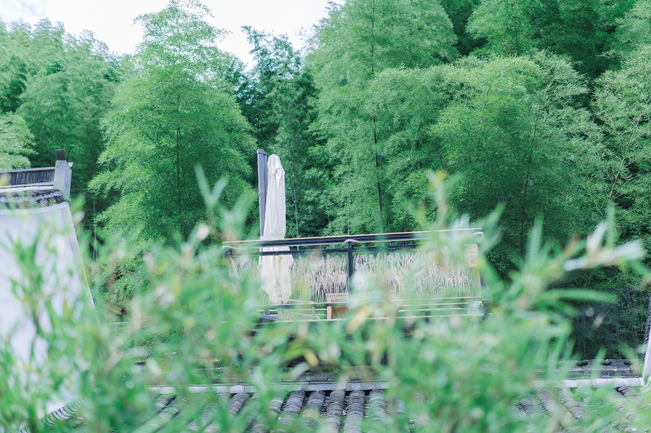 龍觀禪那，靈魂安放之處的民宿