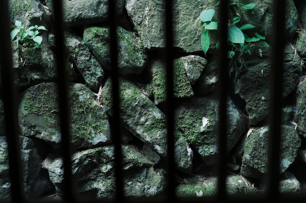 龍觀禪那，靈魂安放之處的民宿