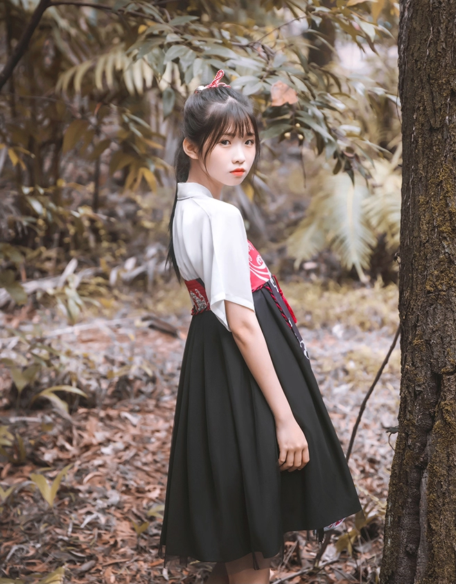 古風漢元素女童仙鶴印花齊胸襦裙古裝漢服