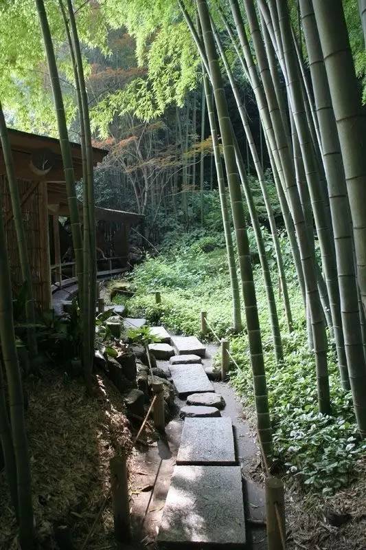 庭院設(shè)計(jì)，竹子在庭院中造景的運(yùn)用