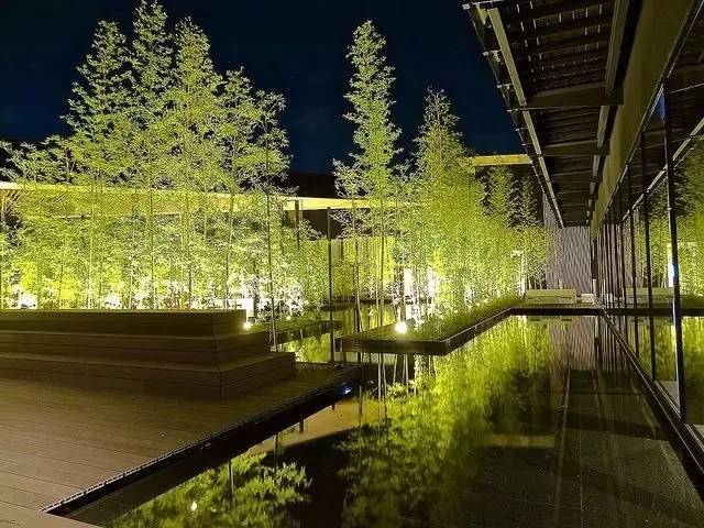 庭院設(shè)計，竹子在庭院中造景的運用