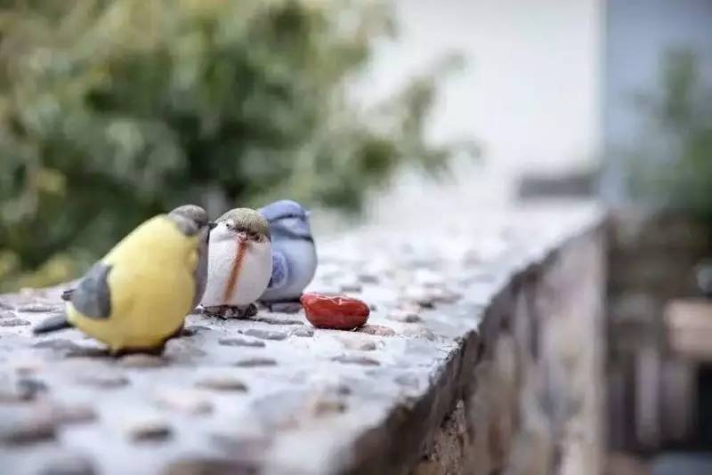 大舍為鄰，北京懷柔民宿設計