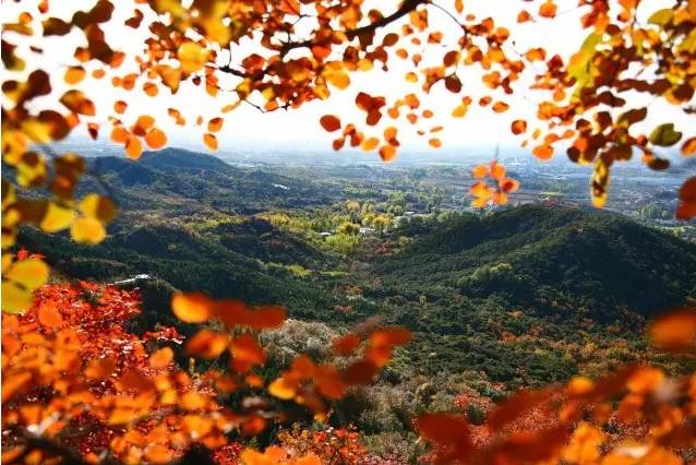 大舍為鄰，北京懷柔民宿設(shè)計