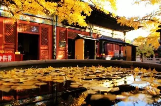 大舍為鄰，北京懷柔民宿設(shè)計