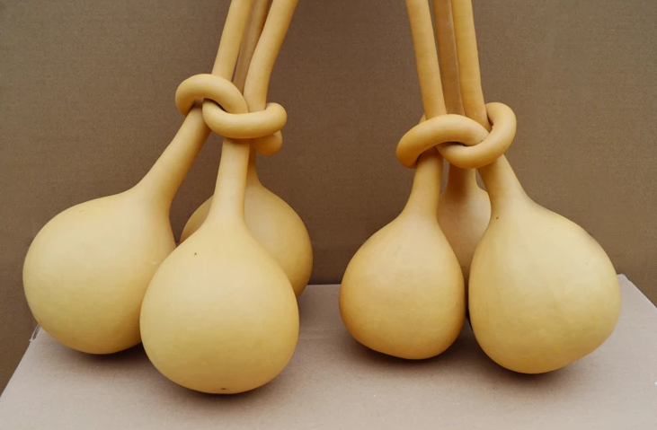 驚呆了，造型獨特的葫蘆工藝品