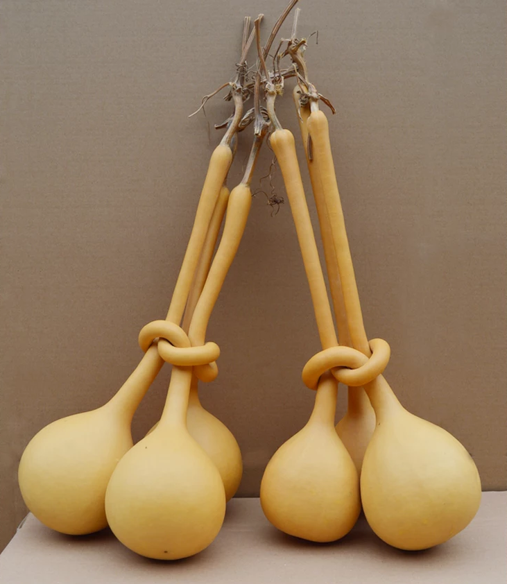 驚呆了，造型獨特的葫蘆工藝品