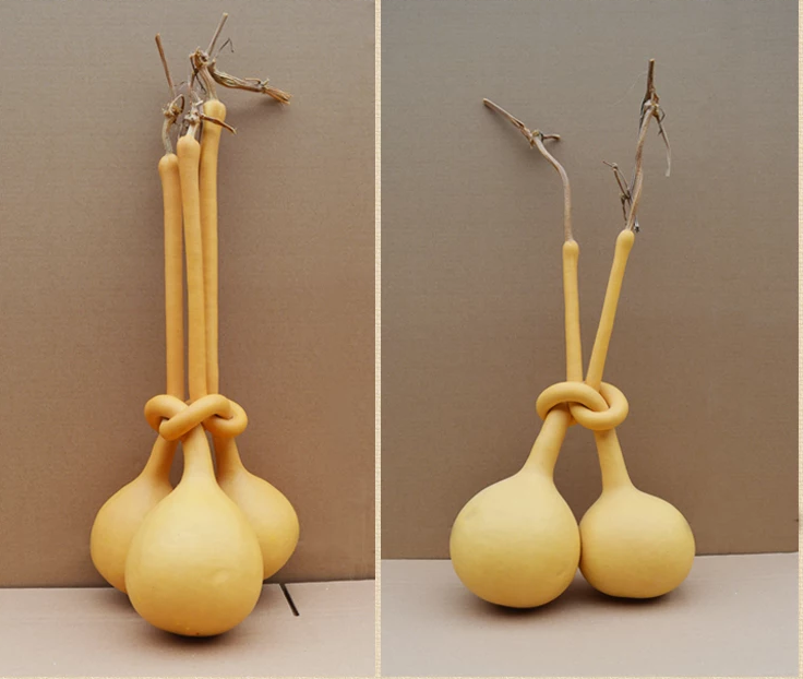 驚呆了，造型獨特的葫蘆工藝品