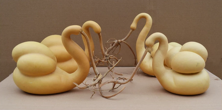 驚呆了，造型獨(dú)特的葫蘆工藝品