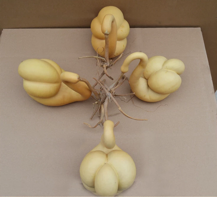 驚呆了，造型獨特的葫蘆工藝品