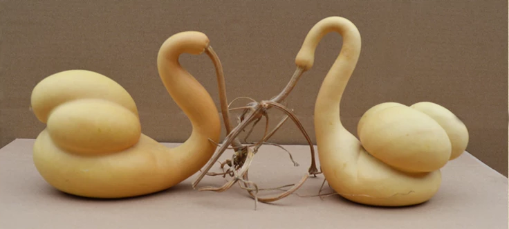 驚呆了，造型獨(dú)特的葫蘆工藝品