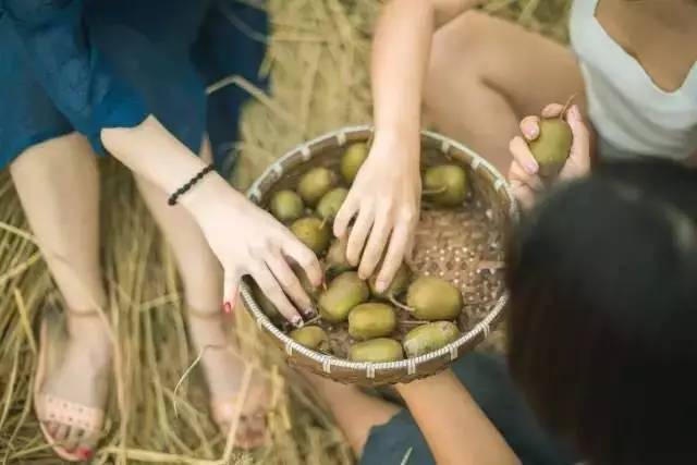 竹里云溪民宿設(shè)計，回歸田園