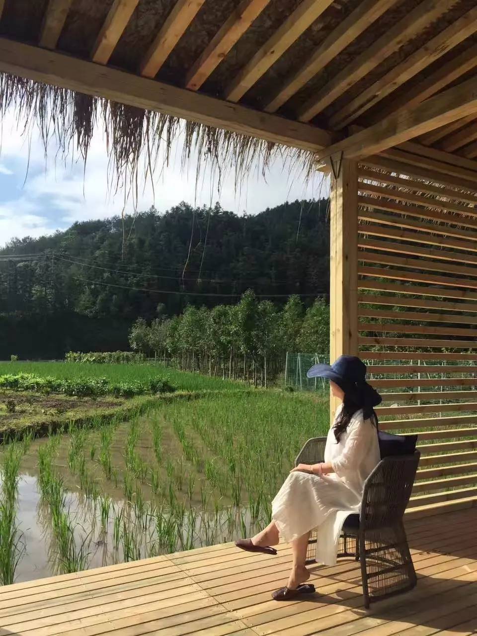 竹里云溪民宿設(shè)計，回歸田園