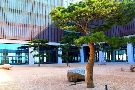 世外桃源的度假勝地，青島涵碧樓度假酒店