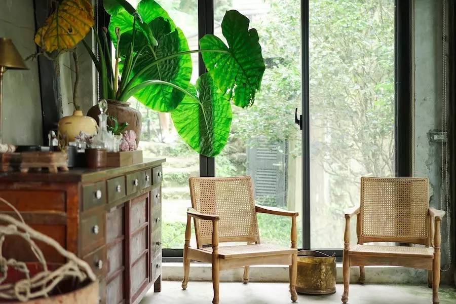 臺灣最文藝的山間小屋，數(shù)樹民宿設計