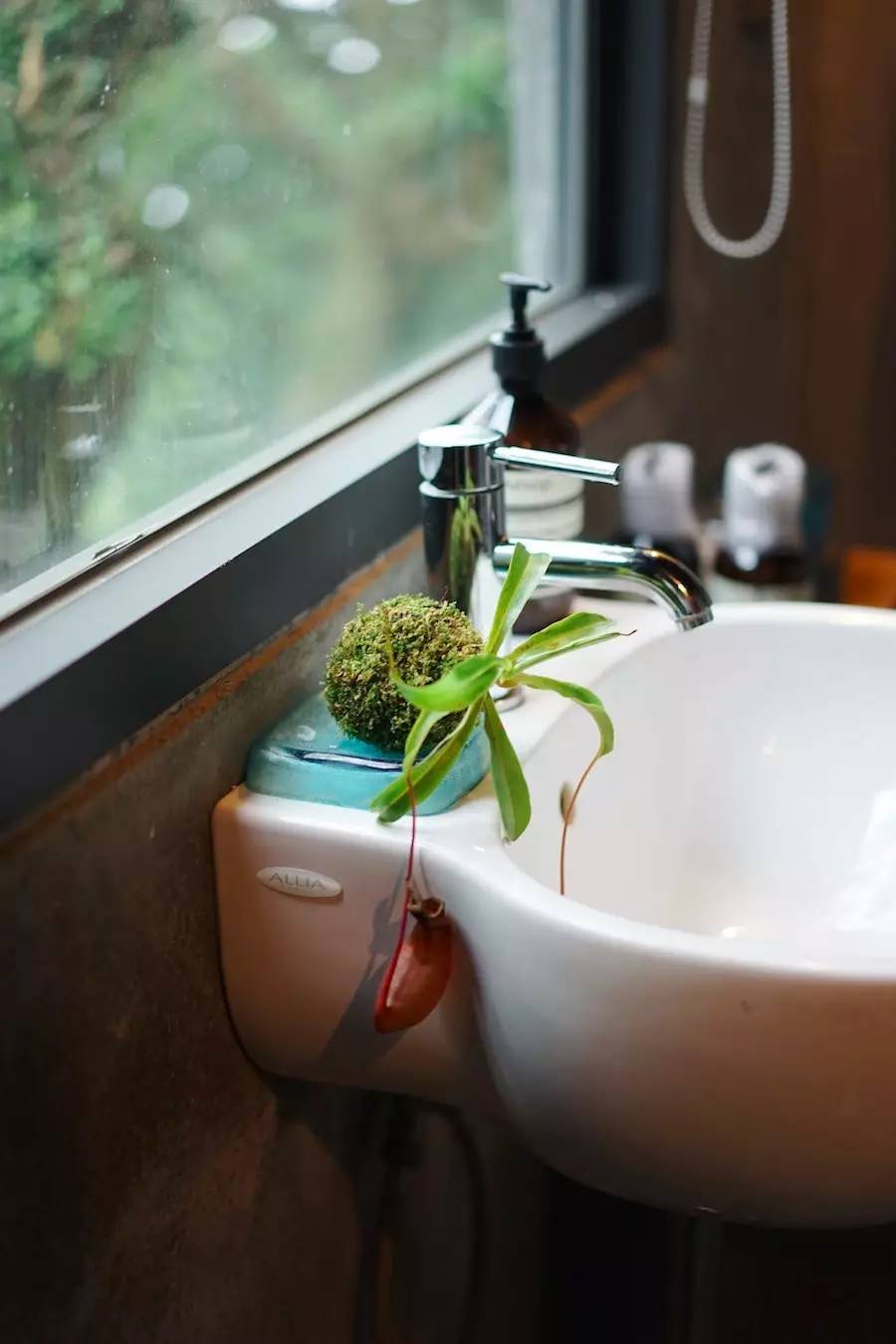 臺灣最文藝的山間小屋，數(shù)樹民宿設(shè)計