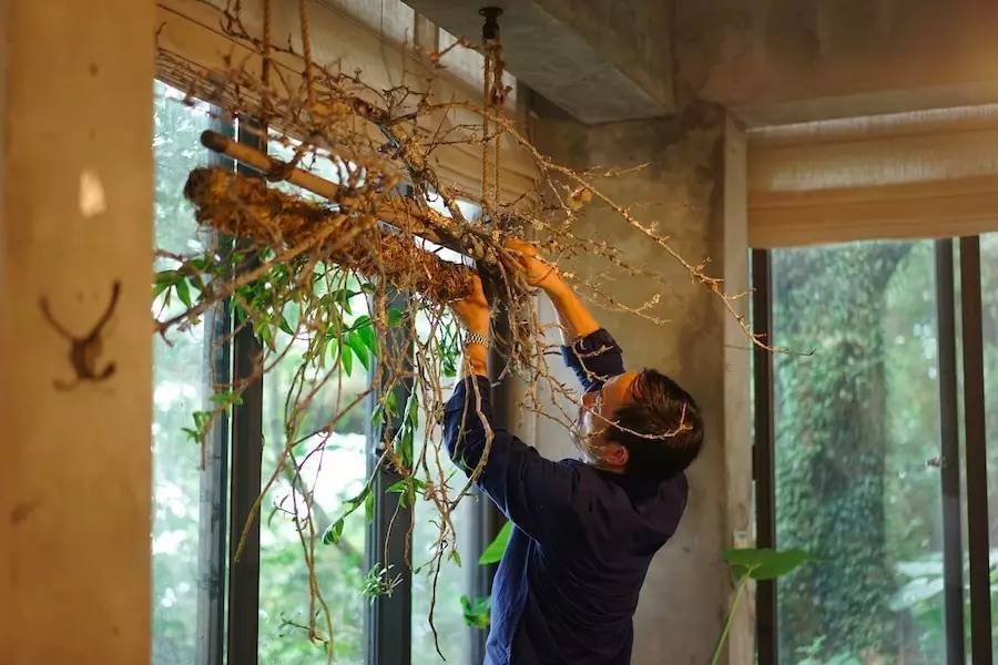 臺(tái)灣最文藝的山間小屋，數(shù)樹(shù)民宿設(shè)計(jì)