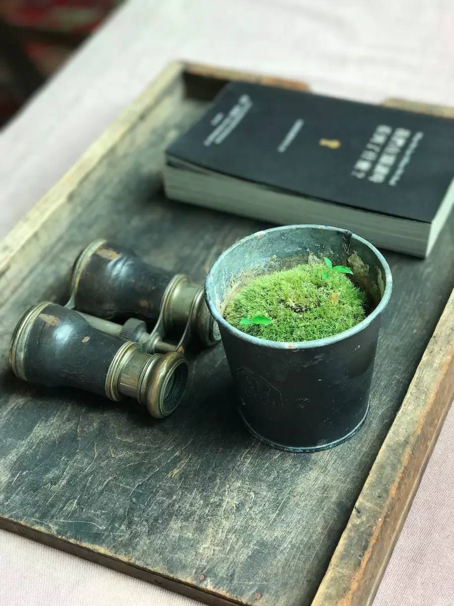 臺(tái)灣最文藝的山間小屋，數(shù)樹(shù)民宿設(shè)計(jì)