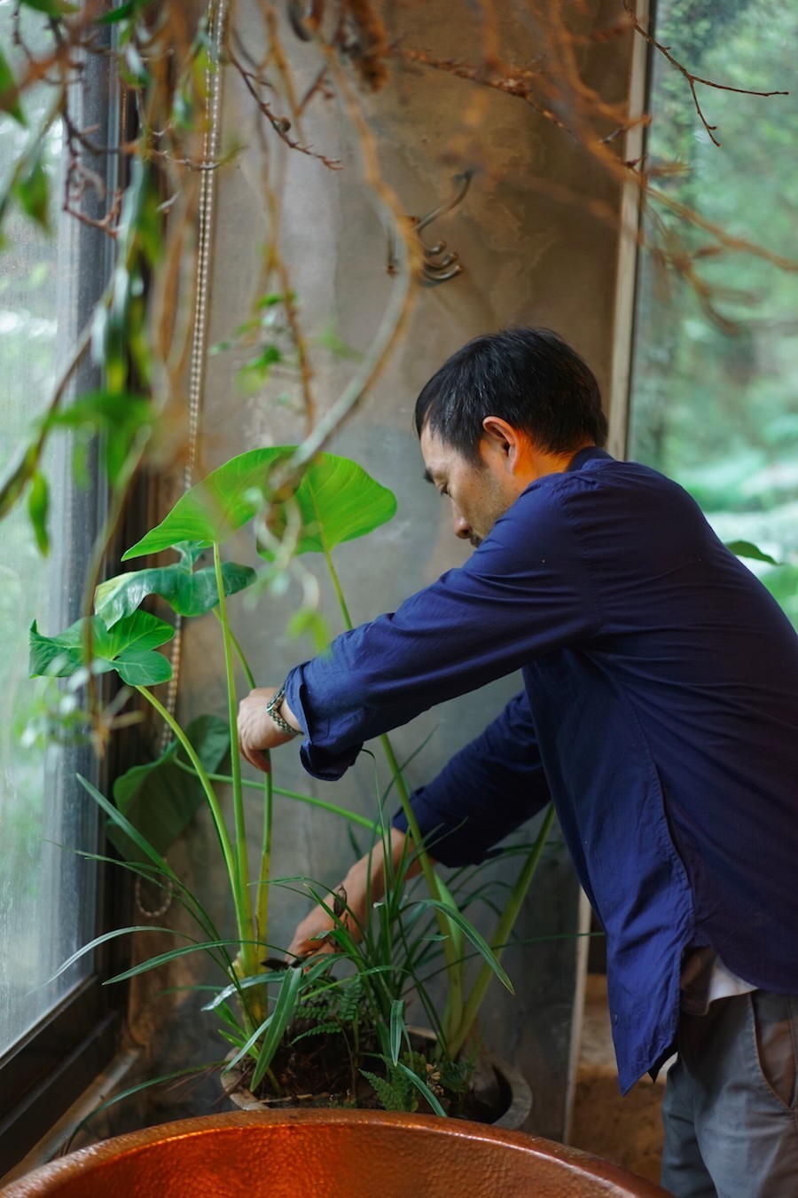臺灣最文藝的山間小屋，數(shù)樹民宿設(shè)計