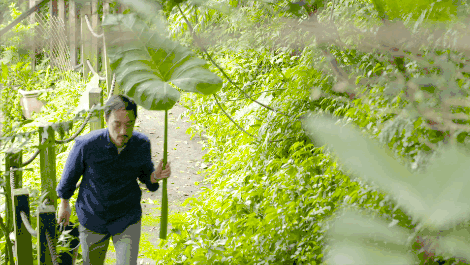 臺灣最文藝的山間小屋，數(shù)樹民宿設計