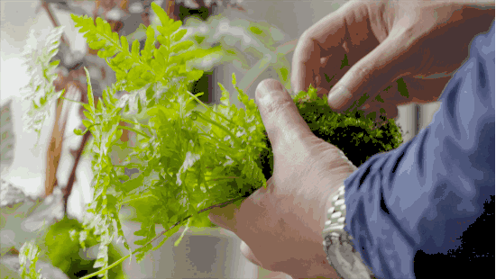 臺(tái)灣最文藝的山間小屋，數(shù)樹(shù)民宿設(shè)計(jì)