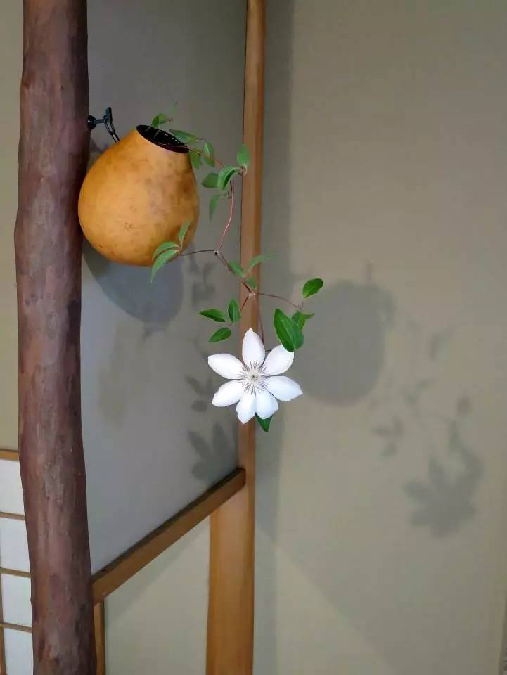 日本茶道文化的八大美：缺陷、簡素、枯槁、自