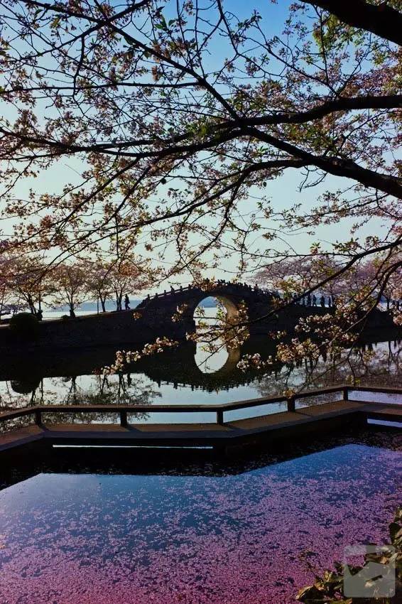 中國古建筑之古橋藝術