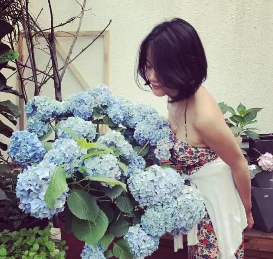 林中四舍民宿設計，一所鳥語花香的小木屋