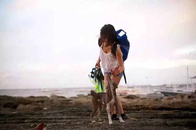 林中四舍民宿設計，一所鳥語花香的小木屋