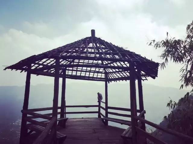 林中四舍民宿設計，一所鳥語花香的小木屋