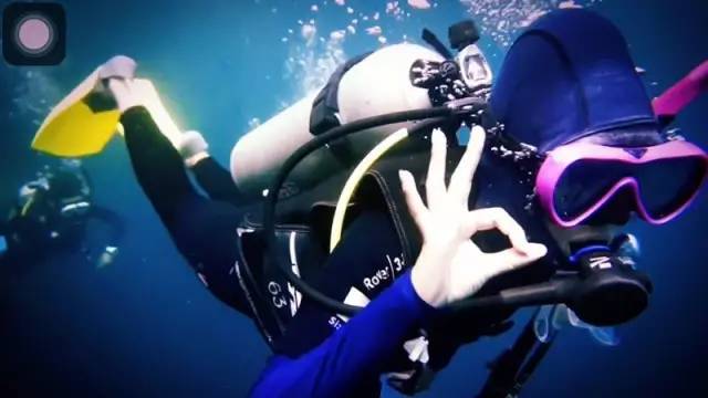 林中四舍民宿設(shè)計(jì)，一所鳥語(yǔ)花香的小木屋