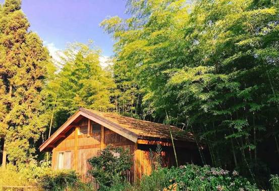 林中四舍民宿設(shè)計，一所鳥語花香的小木屋