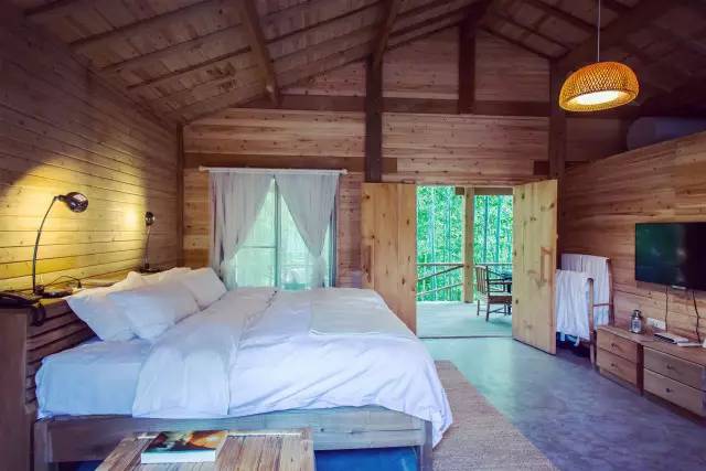 林中四舍民宿設(shè)計(jì)，一所鳥語花香的小木屋