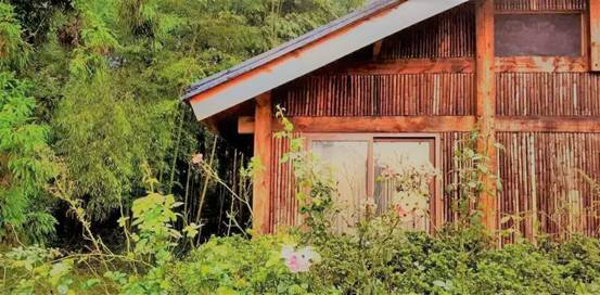 林中四舍民宿設(shè)計，一所鳥語花香的小木屋