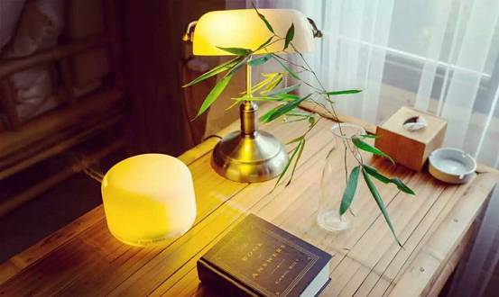 林中四舍民宿設(shè)計(jì)，一所鳥語花香的小木屋