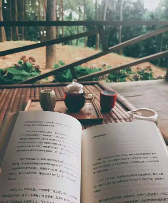 林中四舍民宿設(shè)計(jì)，一所鳥語花香的小木屋