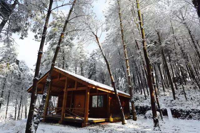 林中四舍民宿設(shè)計，一所鳥語花香的小木屋