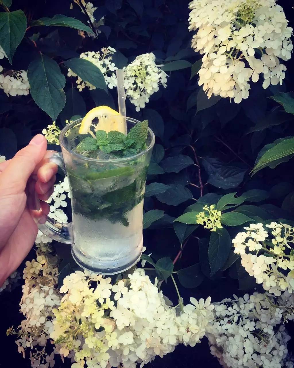 林中四舍民宿設(shè)計(jì)，一所鳥語(yǔ)花香的小木屋