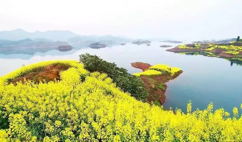 景瀾·返里民宿設(shè)計(jì)，返回故里