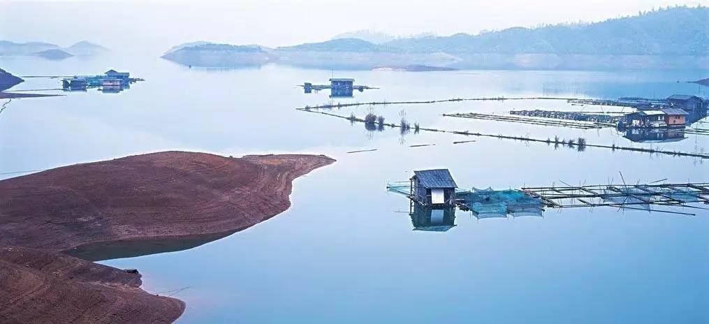 景瀾·返里民宿設(shè)計(jì)，返回故里