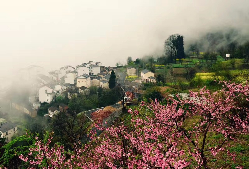 景瀾·返里民宿設(shè)計，返回故里