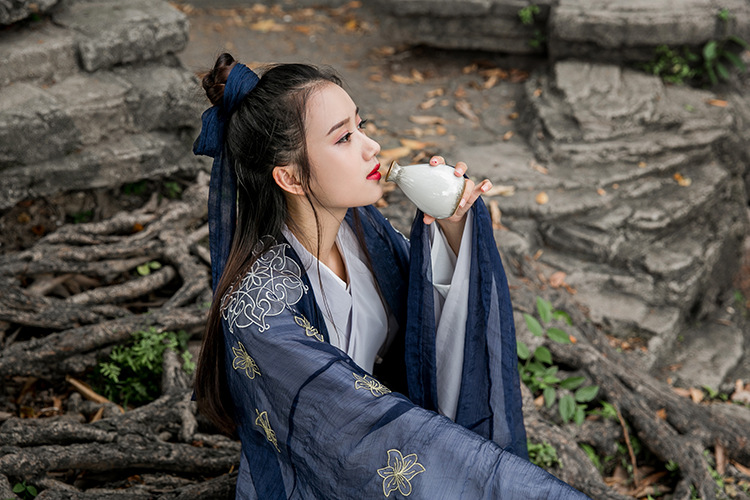 家佳樂(lè)文學(xué)大袖衫漢元素漢服古裝美女圖片