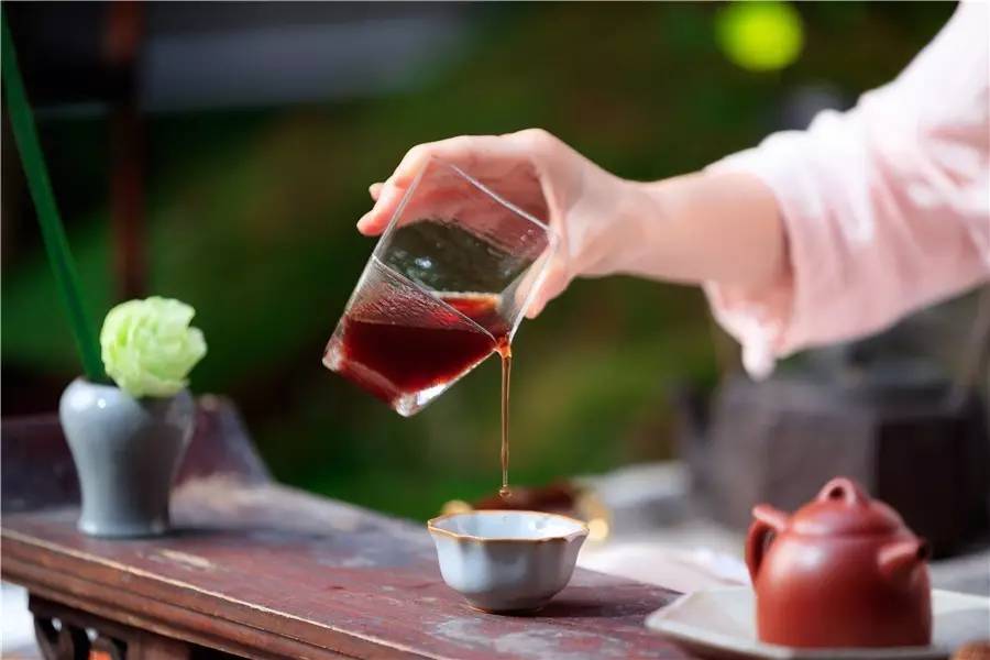 觀芷隱軒，以茶會友的民宿